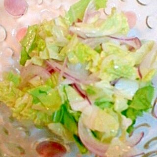 紫玉ねぎと白菜のサラダ